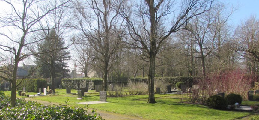 Vogelexcursie begraafplaats Middenmeer