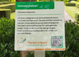 Plattegrond voor wandeling langs 64 bomen