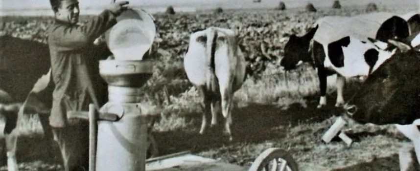 Naam Max de Vries op monument