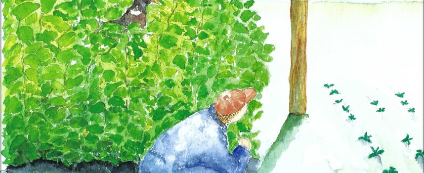 Koester het voorlezen