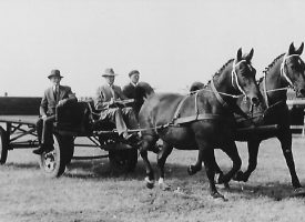 Paardenverhalen op 9 mei