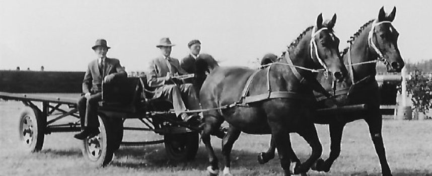 Paardenverhalen op 9 mei