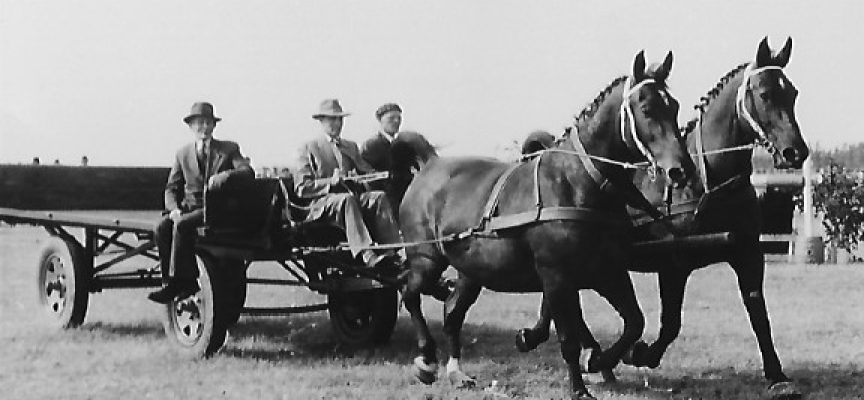 Paardenverhalen op 9 mei