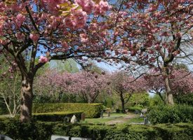 16 mei rondwandeling begraafplaats