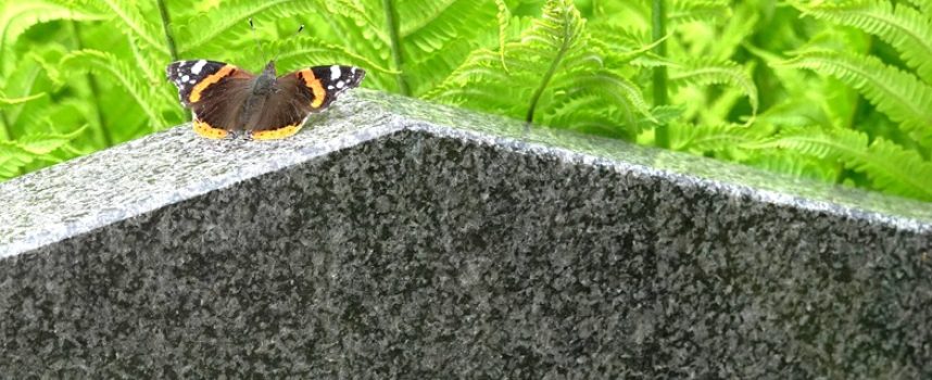 Vanessa atalanta, een Grieks koningsdrama op de begraafplaats